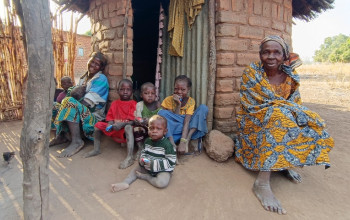 Na kňazov útočí malária, na kostoly včely Na kňazov útočí malária, na kostoly včely