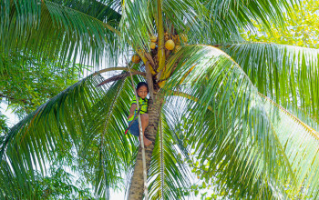 Internát v amazonskom pralese Internát v amazonskom pralese